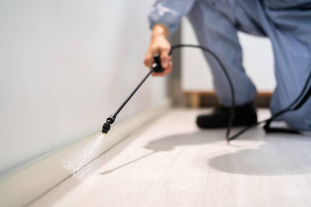 Licensed Pest Control service in Mattoon, IL - Show Me Pest Control