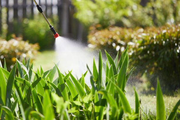 24/7 Emergency Wasp Removal experts in Mattoon, IL