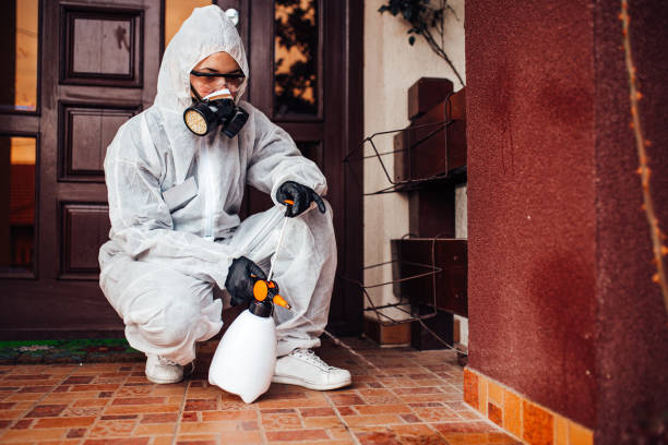 Reliable Wasp Removal contractor in Mattoon, IL by Show Me Pest Control